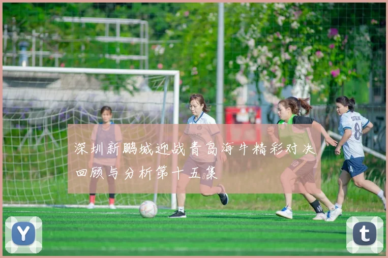 深圳新鹏城迎战青岛海牛精彩对决回顾与分析第十五集